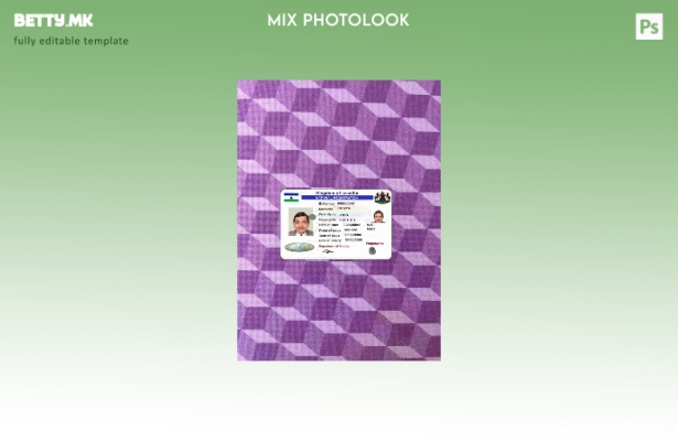 модерен стил Лесото национална регистрација photolook ПРЕДЕН шаблон